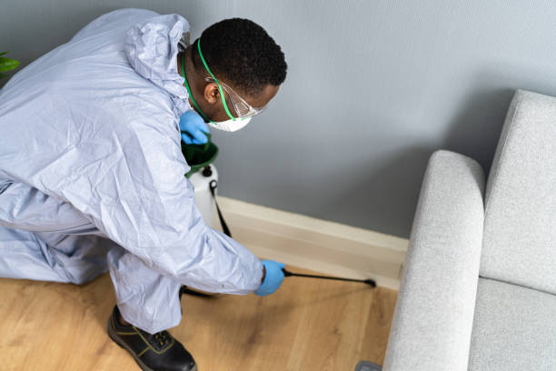 Best Fumigation Services  in Mount Rainier, MD